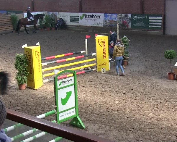 Reitturnier Hamburg-Friedrichshulde/Sylva Kuhrt 2019