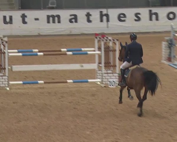 Reitturnier Kreuth/Opf. 2019