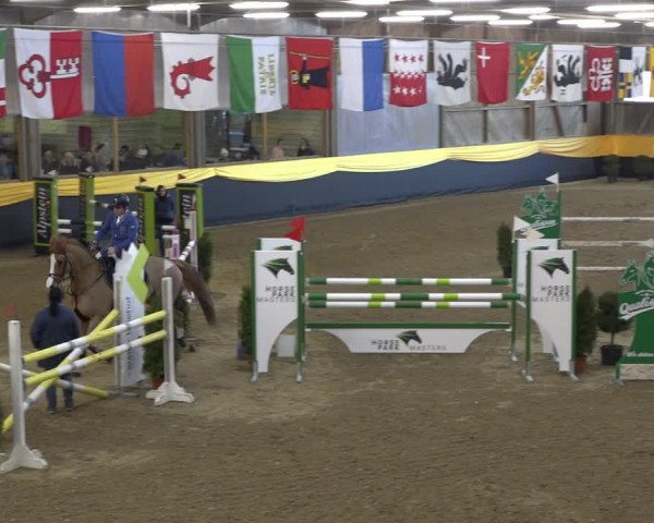 Reitturnier Erlen 2019