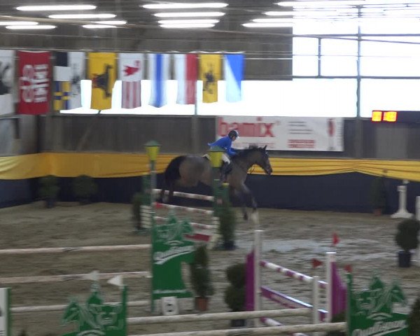 Reitturnier Erlen 2019