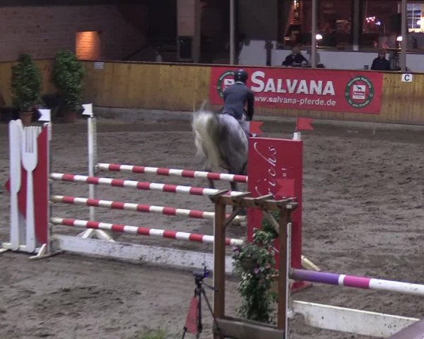 Reitturnier Hamburg-Friedrichshulde/Sylva Kuhrt 2019