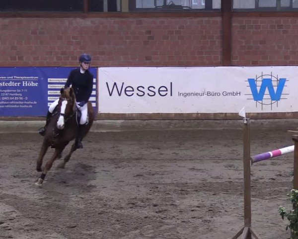 Reitturnier Hamburg-Friedrichshulde/Sylva Kuhrt 2019