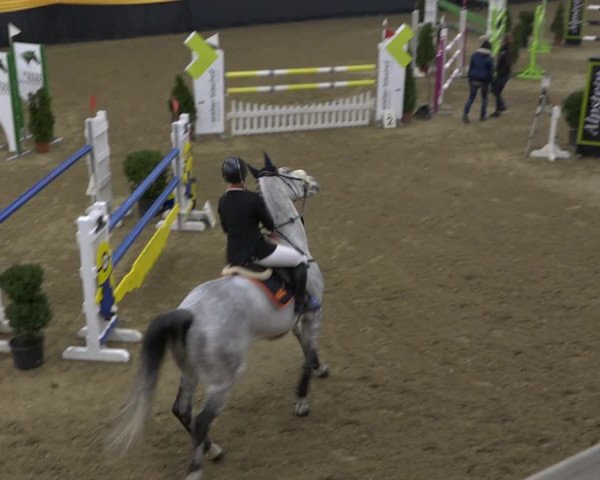 Reitturnier Erlen 2019