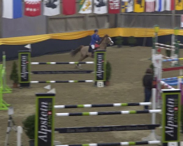 Reitturnier Erlen 2019