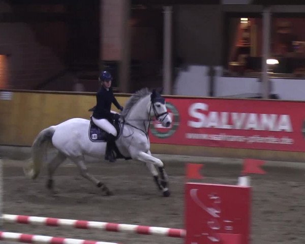 Reitturnier Hamburg-Friedrichshulde/Sylva Kuhrt 2019