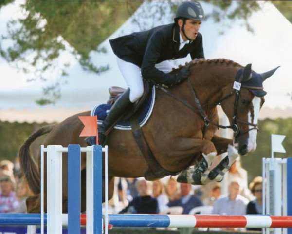broodmare Sephora Sonzeenne (Selle Français, 2006, from Kannan)