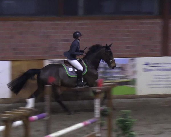 Reitturnier Hamburg-Friedrichshulde/Sylva Kuhrt 2019