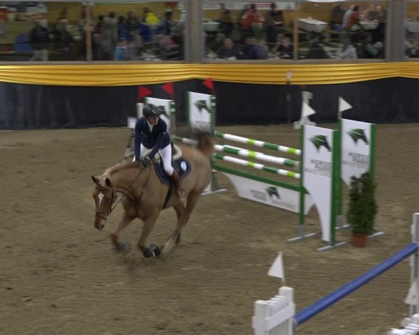 Reitturnier Erlen 2019