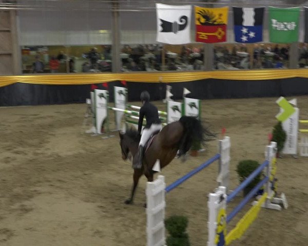 Reitturnier Erlen 2019