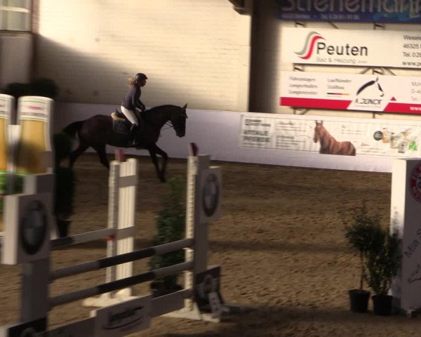 Reitturnier Borken 2019