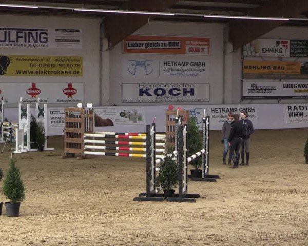 Reitturnier Borken 2019