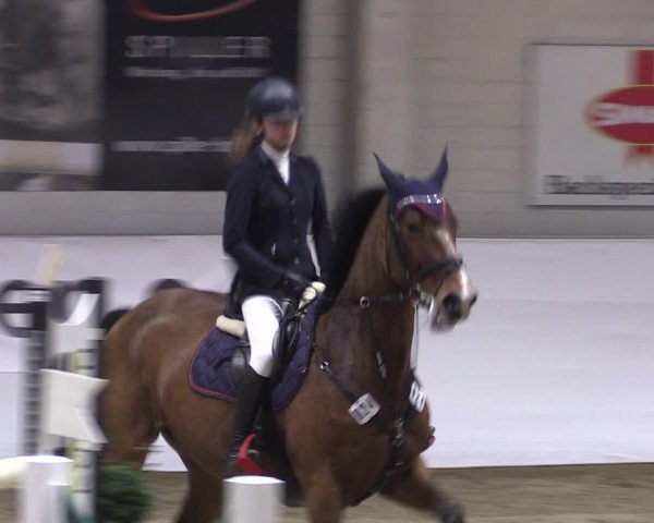 Reitturnier Borken 2019