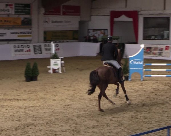 Reitturnier Borken 2019