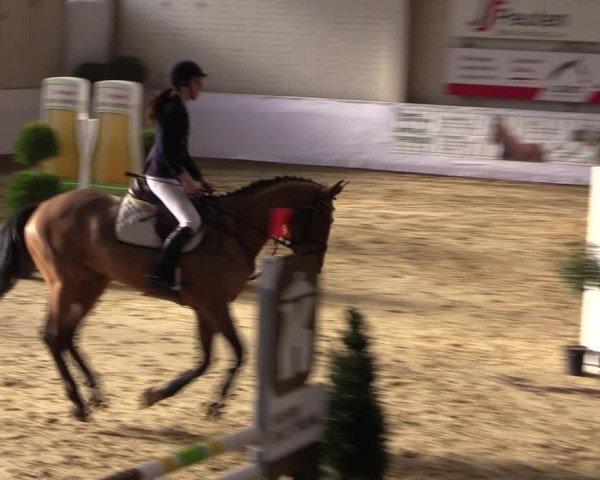 Reitturnier Borken 2019