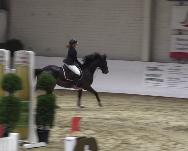 Reitturnier Borken 2019