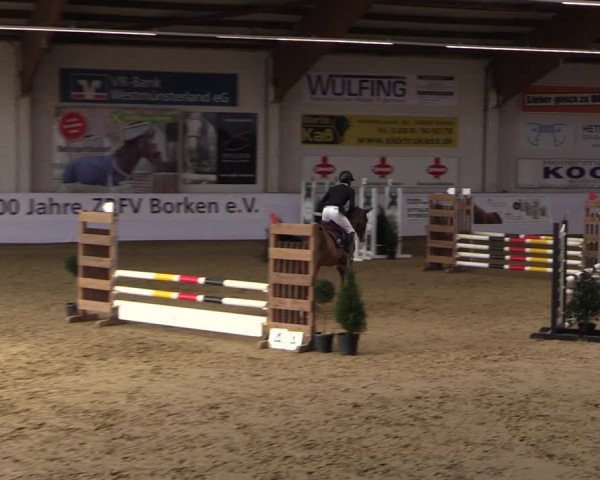 Reitturnier Borken 2019