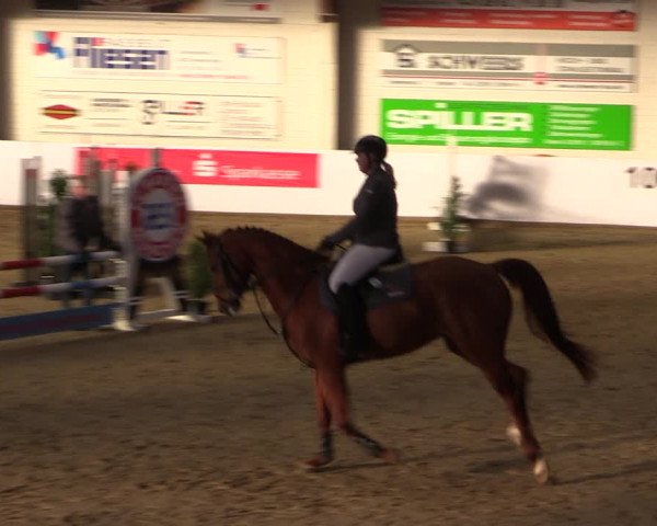 Reitturnier Borken 2019