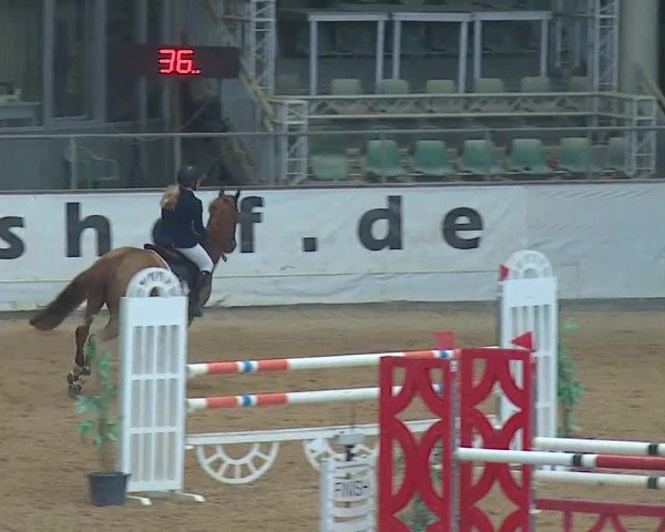 Reitturnier Kreuth/Opf. 2019