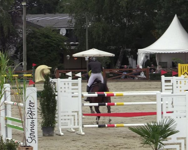 Equus Colonius - Reitanlage Brüse Köln 2021