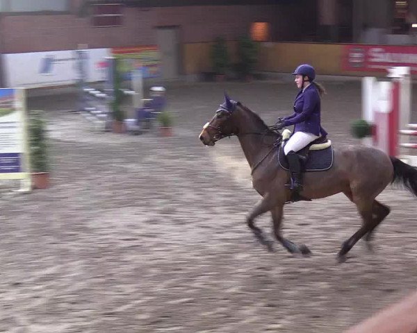 Reitturnier Hamburg-Friedrichshulde/Sylva Kuhrt 2019