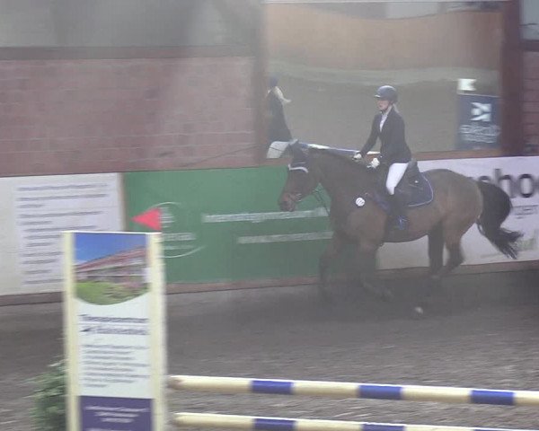 Reitturnier Hamburg-Friedrichshulde/Sylva Kuhrt 2019