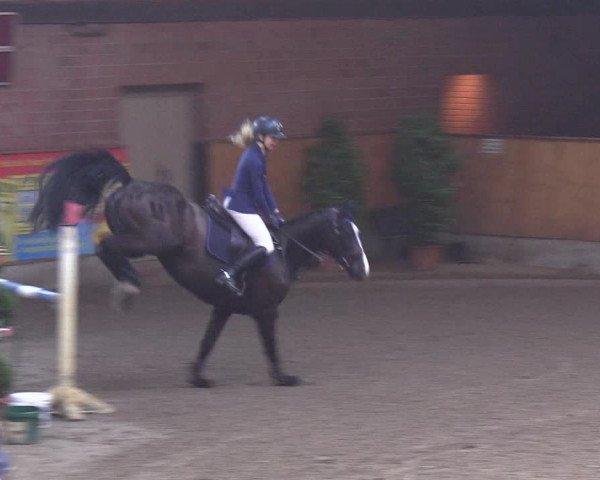 Reitturnier Hamburg-Friedrichshulde/Sylva Kuhrt 2019