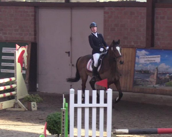 Reitturnier Hamburg-Friedrichshulde/Sylva Kuhrt 2019