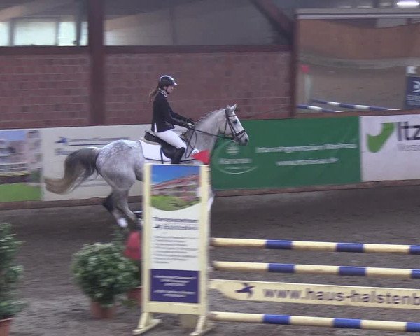 Reitturnier Hamburg-Friedrichshulde/Sylva Kuhrt 2019