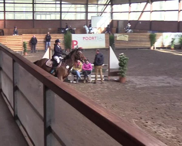 Reitturnier Hamburg-Friedrichshulde/Sylva Kuhrt 2019
