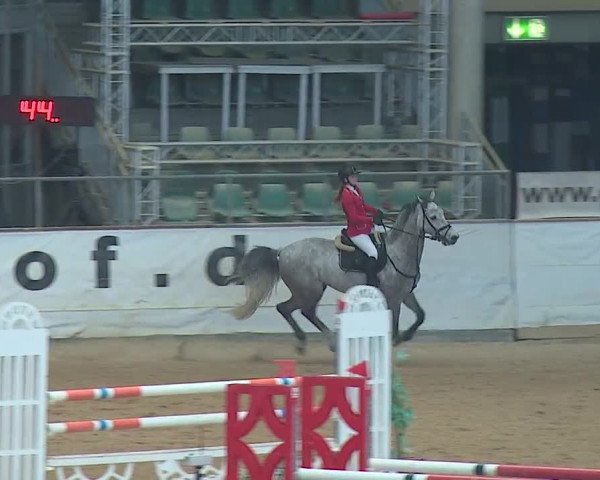 Reitturnier Kreuth/Opf. 2019