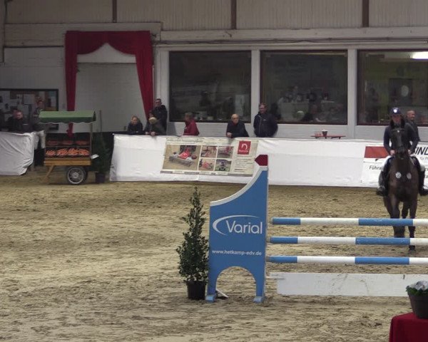 Reitturnier Borken 2019