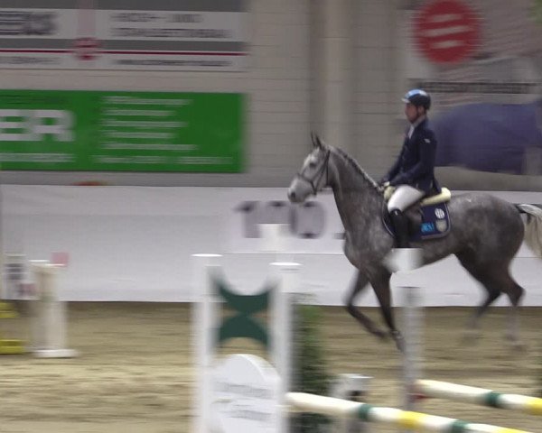 Reitturnier Borken 2019