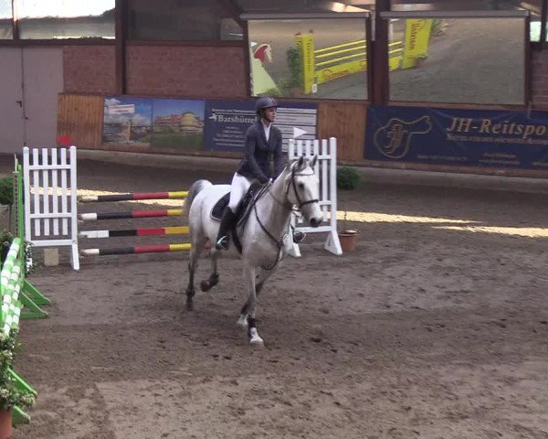 Reitturnier Hamburg-Friedrichshulde/Sylva Kuhrt 2019