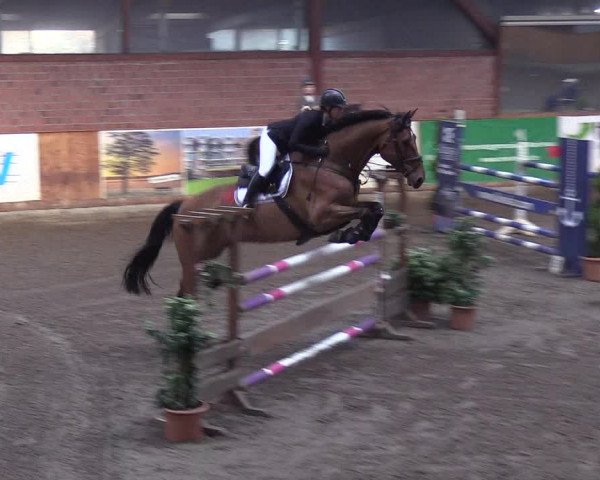 Reitturnier Hamburg-Friedrichshulde/Sylva Kuhrt 2019