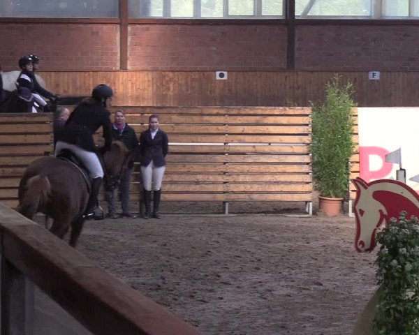 Reitturnier Hamburg-Friedrichshulde/Sylva Kuhrt 2019