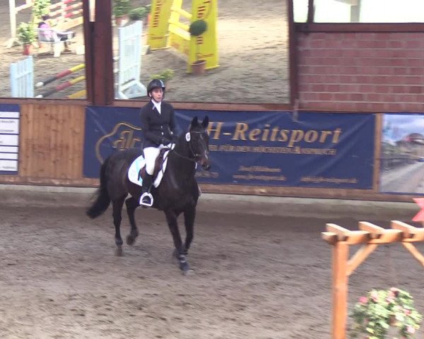 Reitturnier Hamburg-Friedrichshulde/Sylva Kuhrt 2019