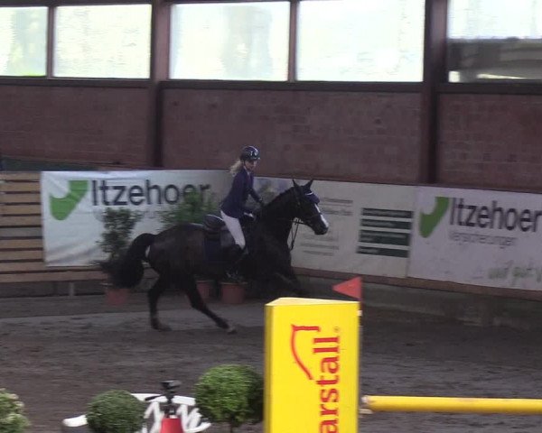 Reitturnier Hamburg-Friedrichshulde/Sylva Kuhrt 2019