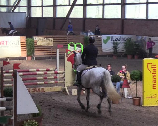 Reitturnier Hamburg-Friedrichshulde/Sylva Kuhrt 2019