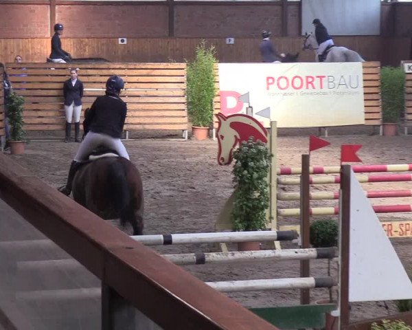 Reitturnier Hamburg-Friedrichshulde/Sylva Kuhrt 2019