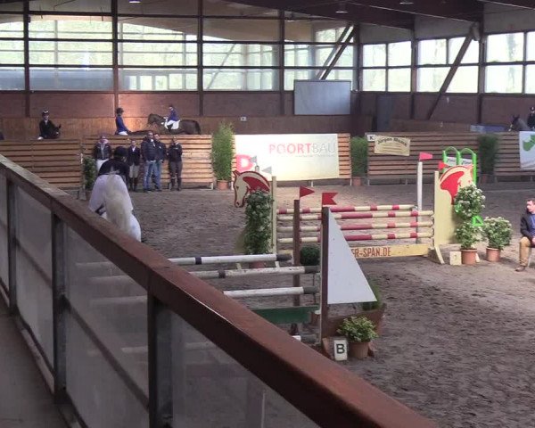 Reitturnier Hamburg-Friedrichshulde/Sylva Kuhrt 2019
