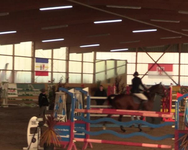 Große Jumping-Trophy Pausin 2021