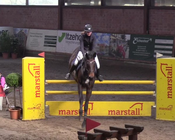Reitturnier Hamburg-Friedrichshulde/Sylva Kuhrt 2019