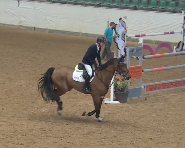 Reitturnier Kreuth/Opf. 2019
