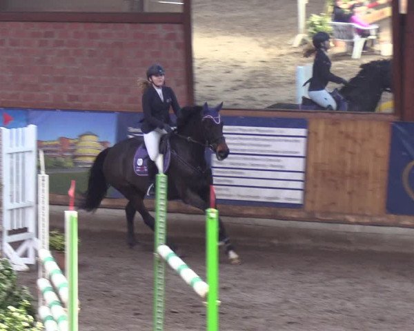 Reitturnier Hamburg-Friedrichshulde/Sylva Kuhrt 2019