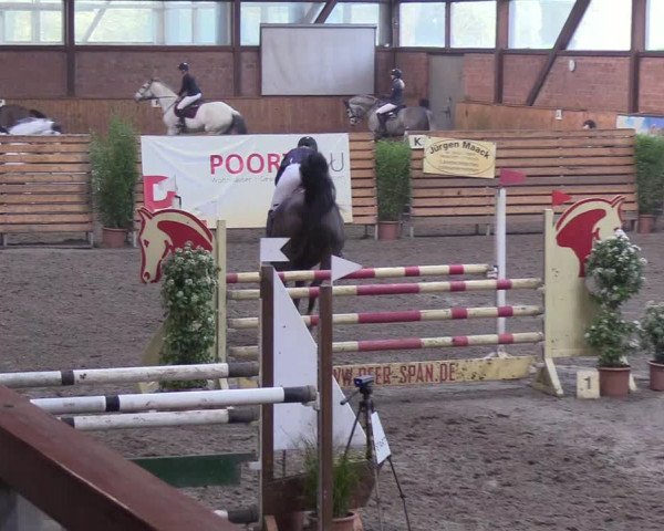 Reitturnier Hamburg-Friedrichshulde/Sylva Kuhrt 2019