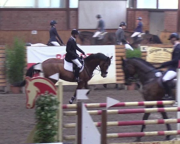 Reitturnier Hamburg-Friedrichshulde/Sylva Kuhrt 2019