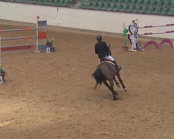 Reitturnier Kreuth/Opf. 2019