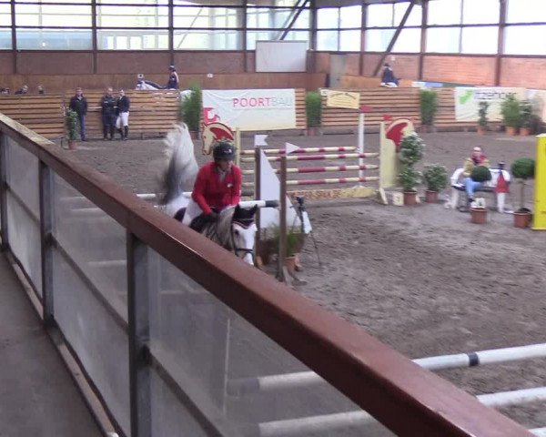 Reitturnier Hamburg-Friedrichshulde/Sylva Kuhrt 2019