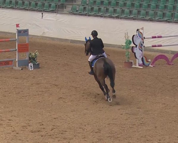 Reitturnier Kreuth/Opf. 2019