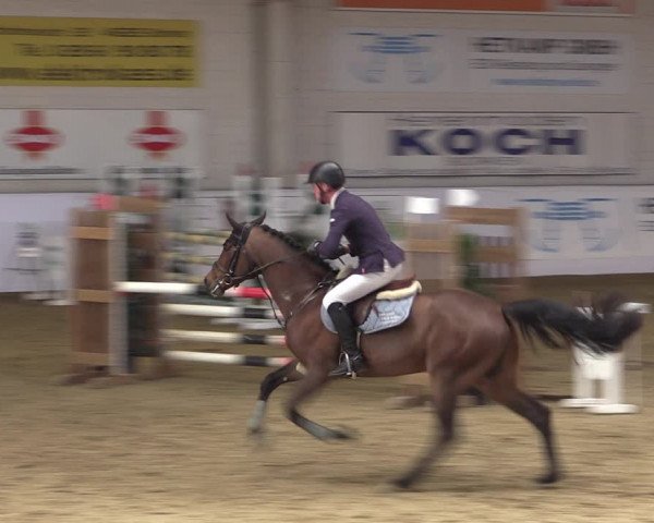 Reitturnier Borken 2019